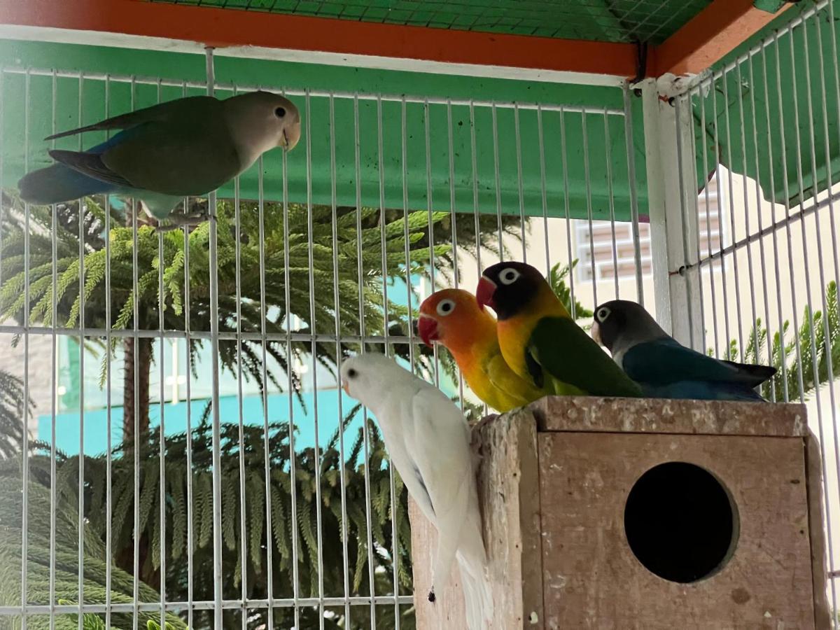 B-5 Aprt. Tipo Villa Sonidos De Las Aves. 哈拉瓦科阿 外观 照片